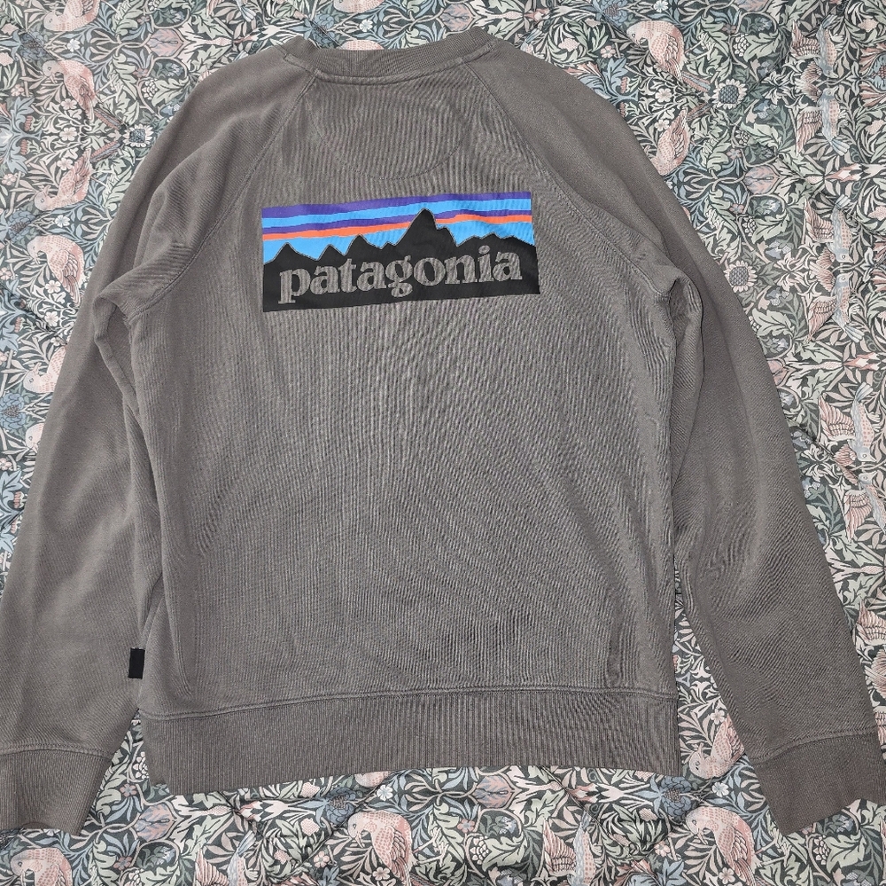 Patagonia Gray Sweatshirt